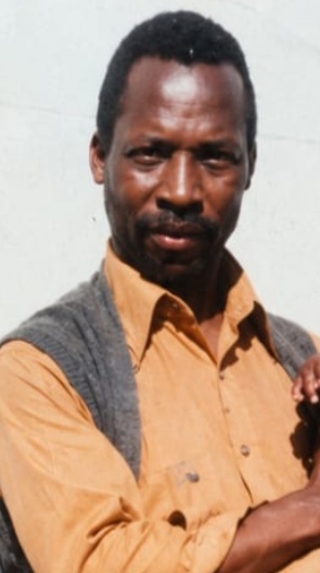 Sebenzile